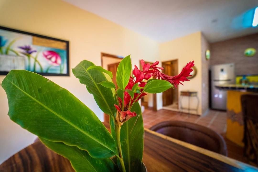 Casa Palmito Cerca De La Playa Villa Yelapa Kültér fotó